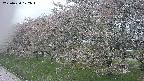 ochiai1-20250430122056.jpg
