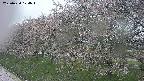 ochiai1-20250430124033.jpg