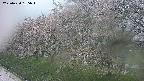 ochiai1-20250430135034.jpg