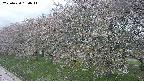 ochiai1-20250430160037.jpg