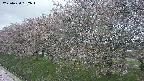ochiai1-20250430162035.jpg