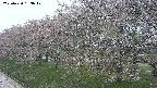 ochiai1-20250430163037.jpg