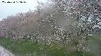 ochiai1-20250430175034.jpg