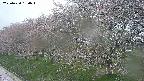 ochiai1-20250430180036.jpg
