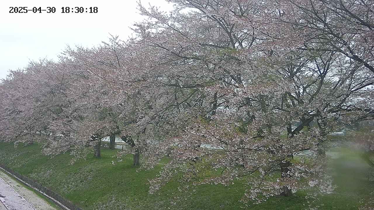 ochiai1-20250430183042.jpg