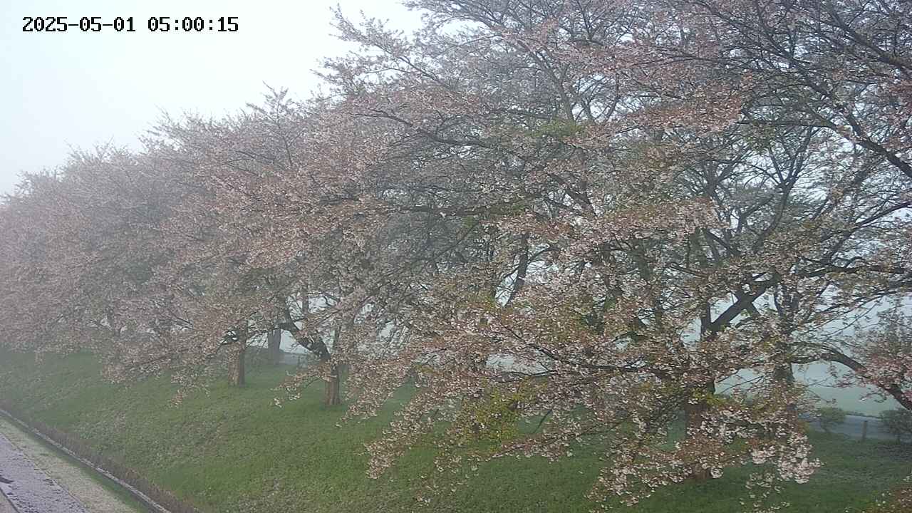 ochiai1-20250501050016.jpg