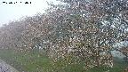 ochiai1-20250501050016.jpg