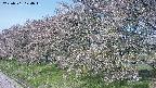 ochiai1-20250501074018.jpg