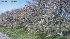ochiai1-20250501075017.jpg