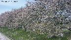 ochiai1-20250501095015.jpg