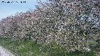 ochiai1-20250501101016.jpg