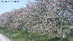 ochiai1-20250501104016.jpg