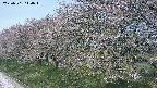 ochiai1-20250501110017.jpg
