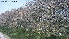 ochiai1-20250501113018.jpg