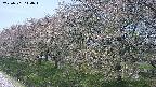 ochiai1-20250501114017.jpg