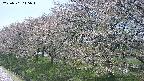 ochiai1-20250501115015.jpg