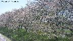 ochiai1-20250501120019.jpg