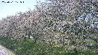 ochiai1-20250501121018.jpg