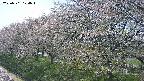 ochiai1-20250501124017.jpg