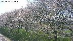 ochiai1-20250501125017.jpg