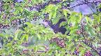 ochiai2-20230505090524.jpg