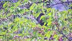 ochiai2-20230505112524.jpg