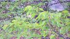 ochiai2-20230505175525.jpg