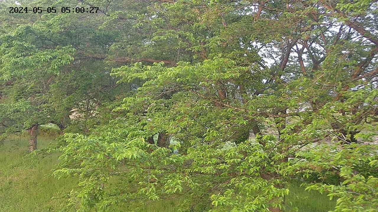 ochiai2-20240505050029.jpg