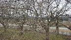 ochiai2-20250402131030.jpg