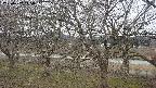 ochiai2-20250402145030.jpg