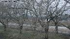 ochiai2-20250404050030.jpg