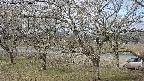 ochiai2-20250404090030.jpg