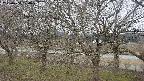 ochiai2-20250404100030.jpg
