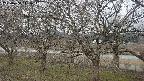 ochiai2-20250404111031.jpg