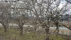 ochiai2-20250404115032.jpg