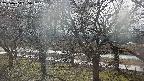 ochiai2-20250404135031.jpg