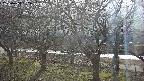 ochiai2-20250404152031.jpg