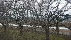 ochiai2-20250404181030.jpg