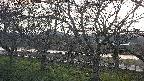 ochiai2-20250415181031.jpg