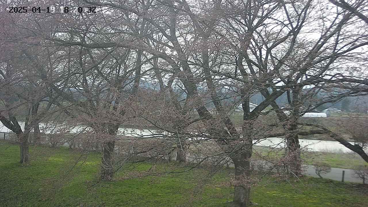 ochiai2-20250419182033.jpg