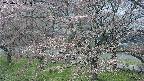 ochiai2-20250421111031.jpg