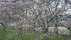 ochiai2-20250421175031.jpg