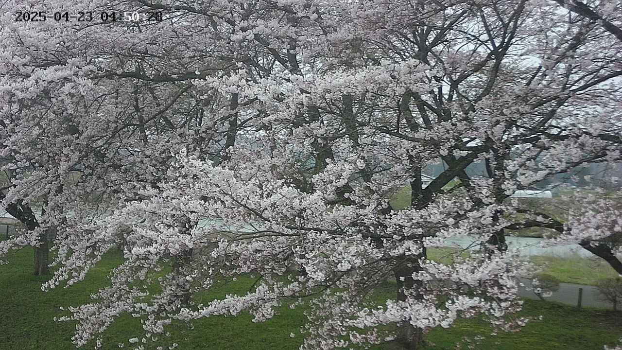 ochiai2-20250423045030.jpg