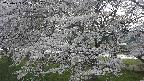 ochiai2-20250423172031.jpg