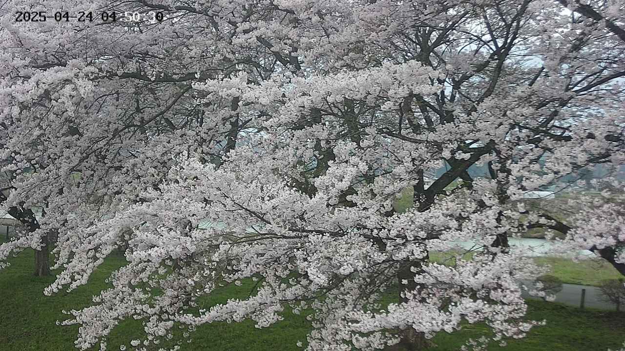 ochiai2-20250424045031.jpg
