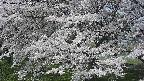 ochiai2-20250424095032.jpg