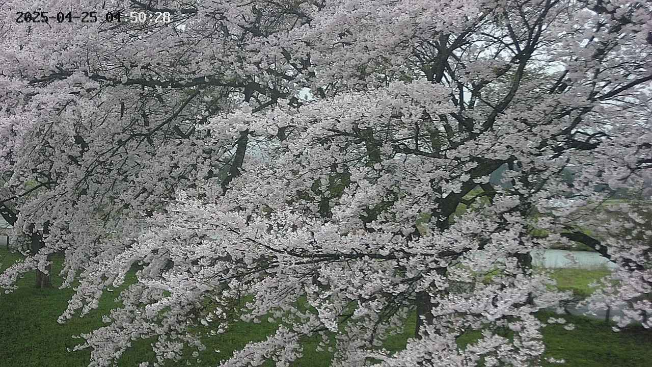 ochiai2-20250425045030.jpg