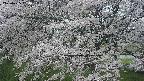 ochiai2-20250425064031.jpg