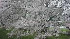 ochiai2-20250425135028.jpg