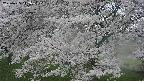 ochiai2-20250425142029.jpg